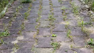 Nalejte ho na dláždené kamene. Vysoko tlaková umývačka riadu nie je potrebná.