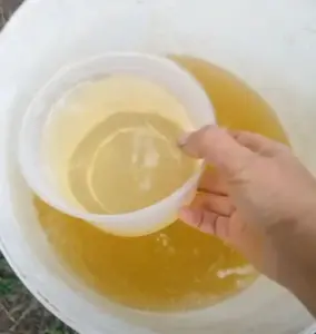 Ak neviete, ako odstrániť žlté listy rastlín, naučte sa toto tajomstvo pestovania rastlín.