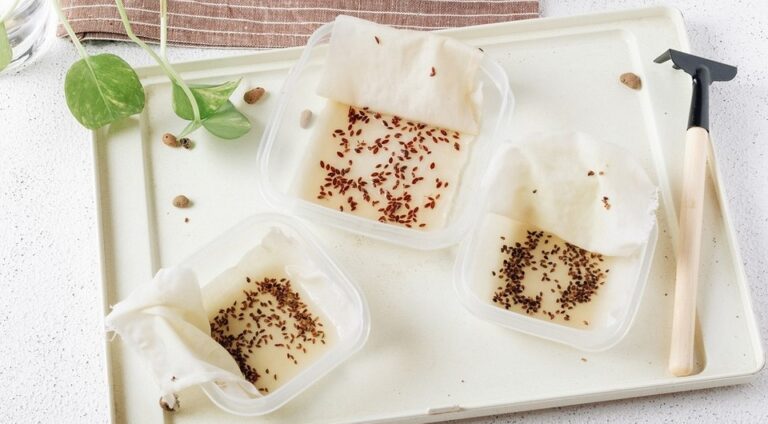 Viete, ako nasiaknuť semená?