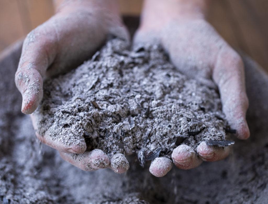Jahody budú rásť ako buriny: Agronóm odhalil tajomstvá jarného oplodnenia