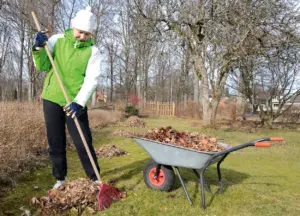 Mali by ste vyčistiť záhradu po zime? Prečítajte si tento návod skôr, ako začnete