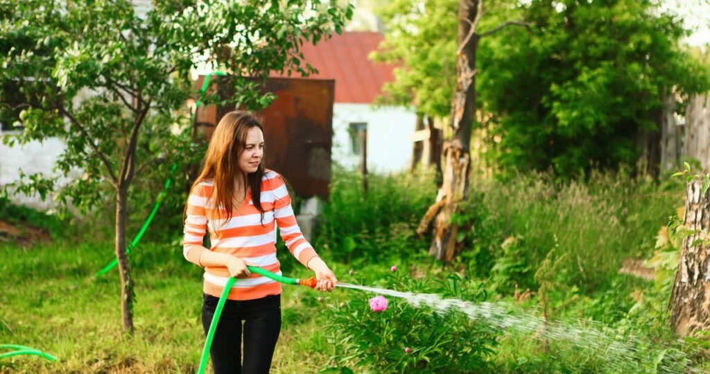 Zalievate rastliny ráno alebo večer? Mnoho ľudí robí túto chybu