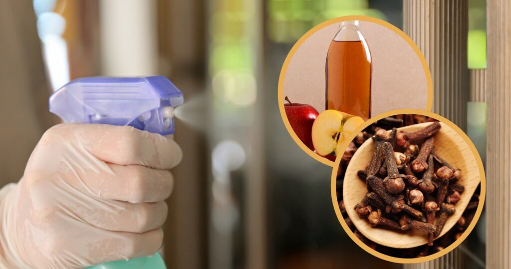 Zmiešajte tieto 2 ingrediencie, nalejte vodu a sprej. Škodcovia sa vyhnú vášmu domu širokým oblúkom
