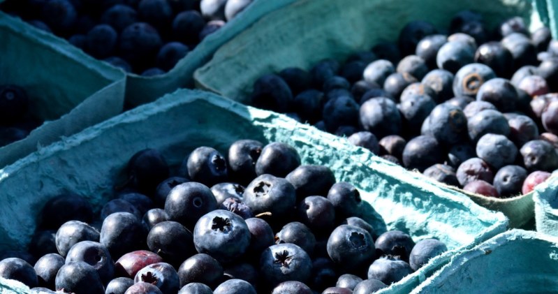 Water American Blueberry. Stojí to PLN 1,50 a vyzdvihnete ovocie s kilogramami