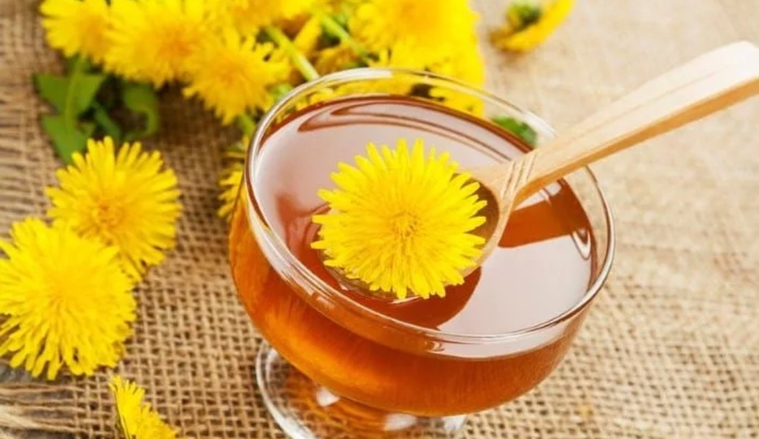 Odhalený tajný recept na púpací sirup. Celkom 4 ingrediencie