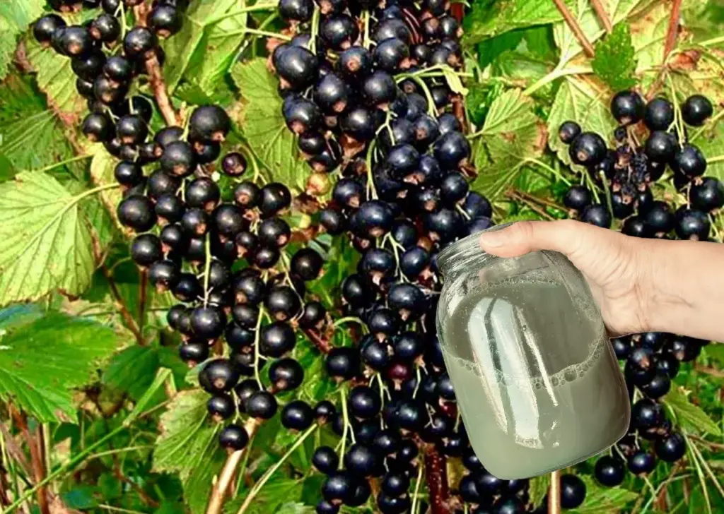Ktorý v máji nevytieral ríše, bude zbierať malé 