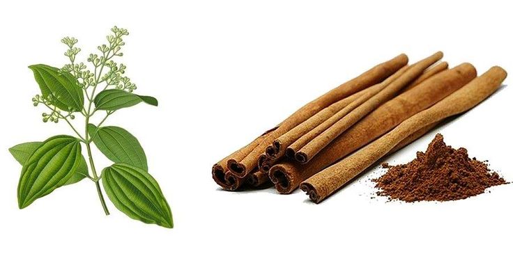 Jednoduchý spôsob, ako sa zbaviť slimákov a mravcov. Stačí jedno korenie, ktoré nájdete v kuchyni.