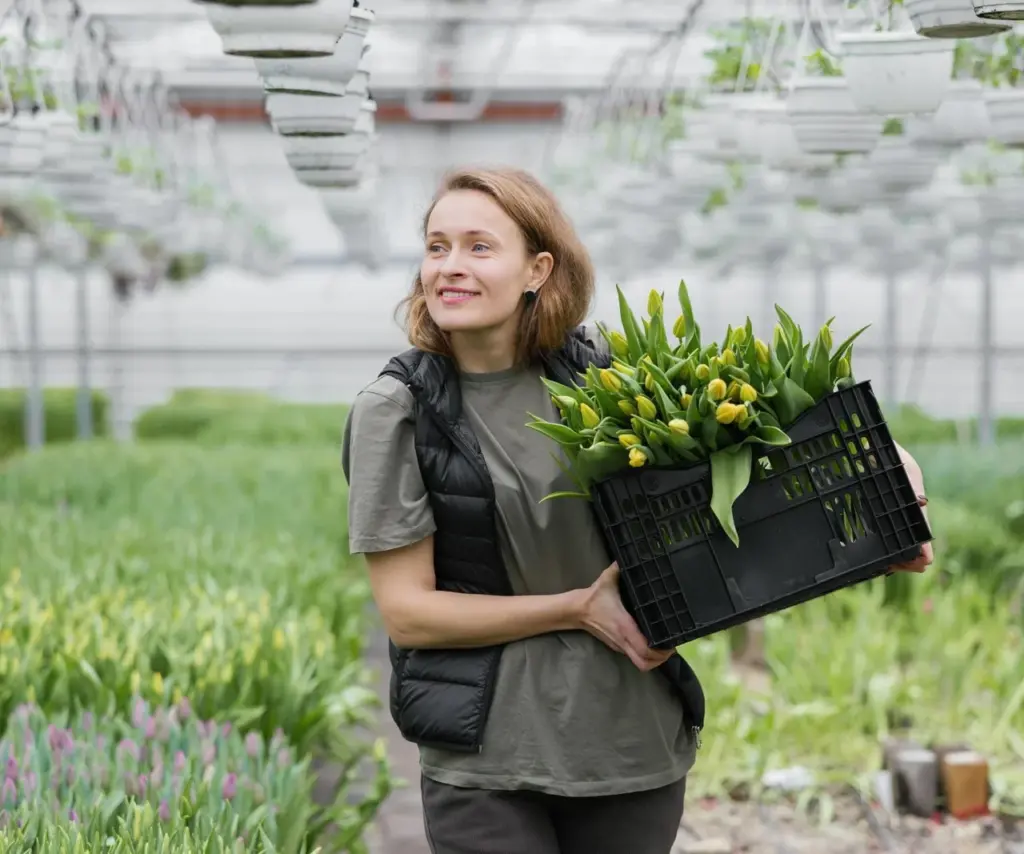 Oplodnenie tulipánov - tajomstvá holandských záhradníkov. Čo robiť s tulipmi po kvitnutí
