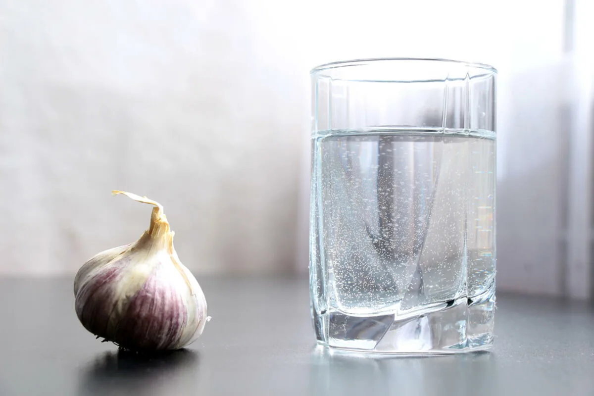 Nalejte pol čajovej lyžičky do kvetináča s orchideou a rastlina opäť zakvitne.