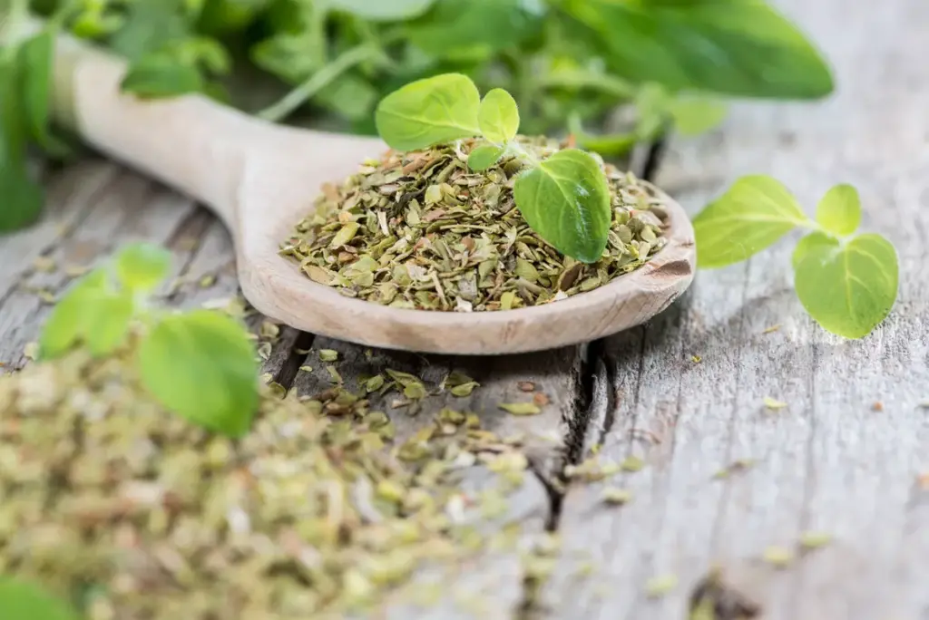 Oregano na rastlinách: Prečo sa odporúča trochu posypieť a čo slúži