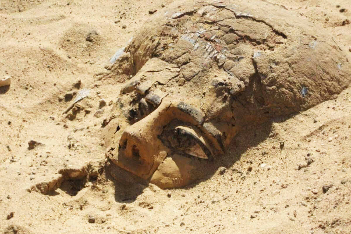 Bezprecedentný objav: objavená pokladnica relikvií faraónov starovekého Egypta
