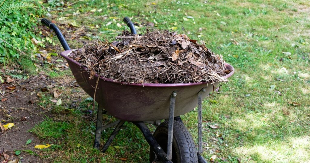Hnojíte rastliny kompostom? Buďte opatrní, môžete im veľa ublížiť