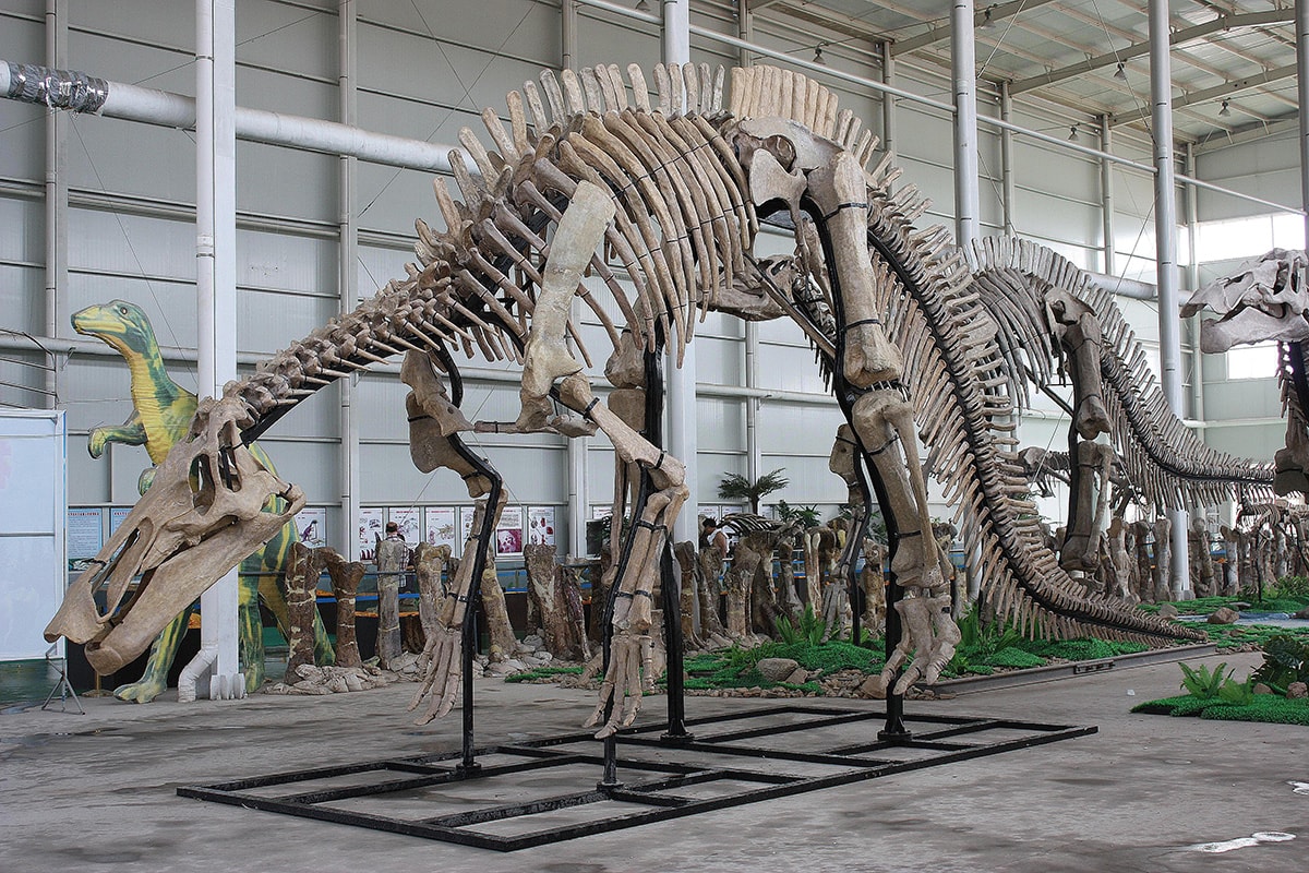 Objav storočia: objavili pravekú „časovú kapsulu“, ukrytú vo vnútri dinosaura približne pred 100 miliónmi rokov.
