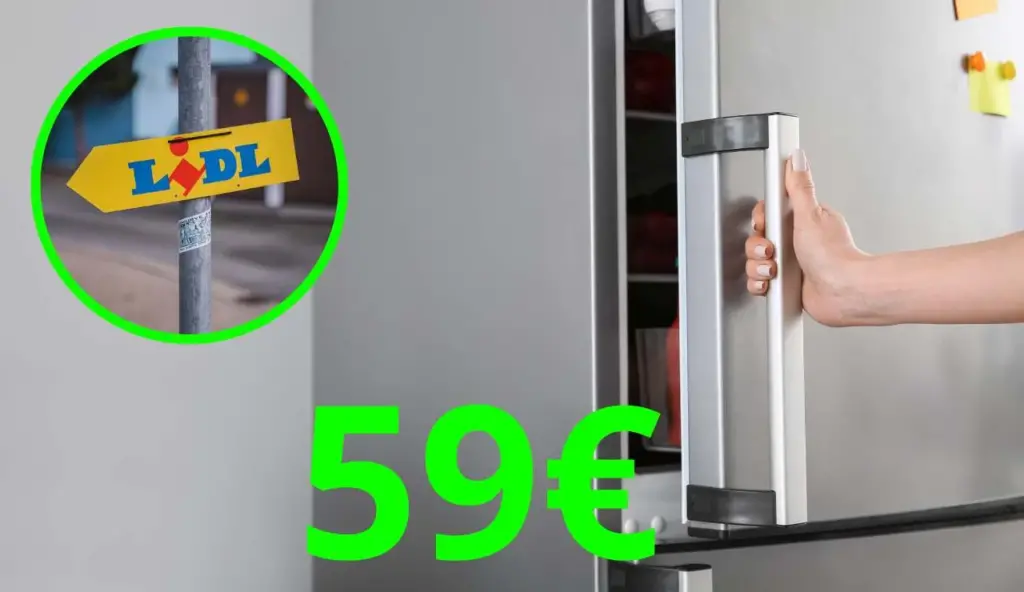 LIDL sa zbláznil, chladničku predáva len za 59 eur | 3 roky záruka: je to lacnejšie ako večera v reštaurácii