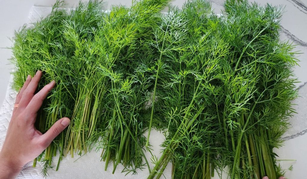 Dal som kôpru do pohára a pridal som 1 ingredienciu. Zostane čerstvý niekoľko mesiacov.