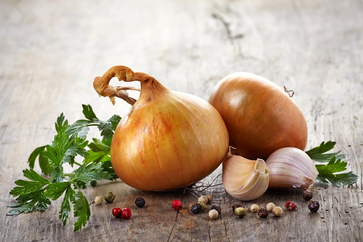 Ako sa zbaviť invázie potkanov v dome pomocou jedinej ingrediencie, ktorú máte v kuchyni.