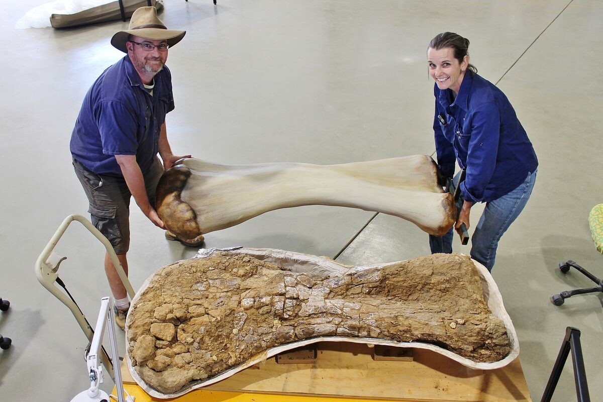 Objav storočia: objavili pravekú „časovú kapsulu“, ukrytú vo vnútri dinosaura približne pred 100 miliónmi rokov.